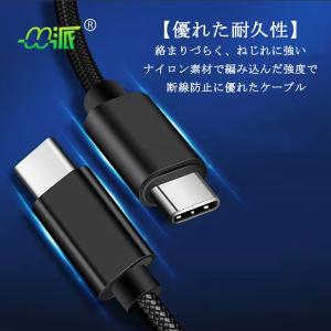 100W USB Type-C to Type...の詳細画像3