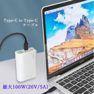 100W USB Type-C to Type...の詳細画像4