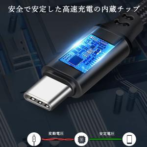 100W USB Type-C to Type...の詳細画像5