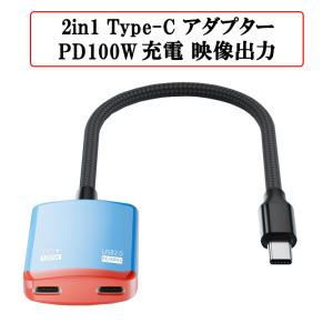 2in1 USB-C アダプター 100W PD充電 8K 映像出力 USB2.0 480Mbps Type-C 互換アダプター ゲーム機 PC スマホ タブレット VRグラス タイプC