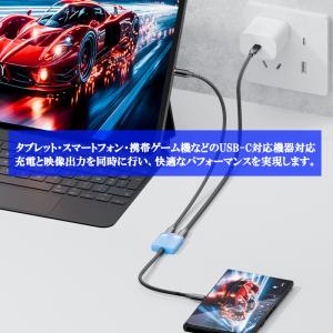 2in1 USB-C アダプター 100W P...の詳細画像2