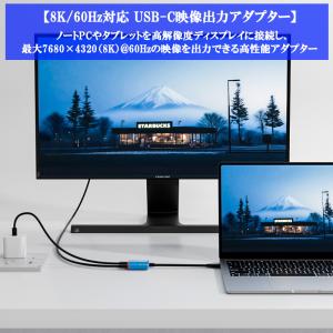 2in1 USB-C アダプター 100W P...の詳細画像3