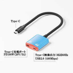 2in1 USB-C アダプター 100W P...の詳細画像4