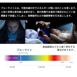 ニンテンドースイッチ フィルム ブルーライトカ...の詳細画像1