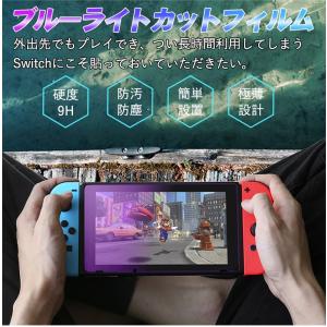 ニンテンドースイッチ フィルム ブルーライトカ...の詳細画像3