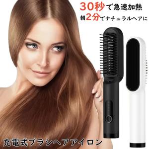 LebeL（ルベル） 正規品 保証付 プライア SS ストレートアイロン lebel