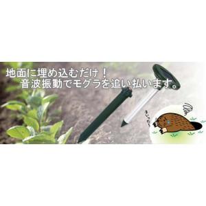 SAVE ソーラー式アルミモグラ防除器 ＼LI...の詳細画像1