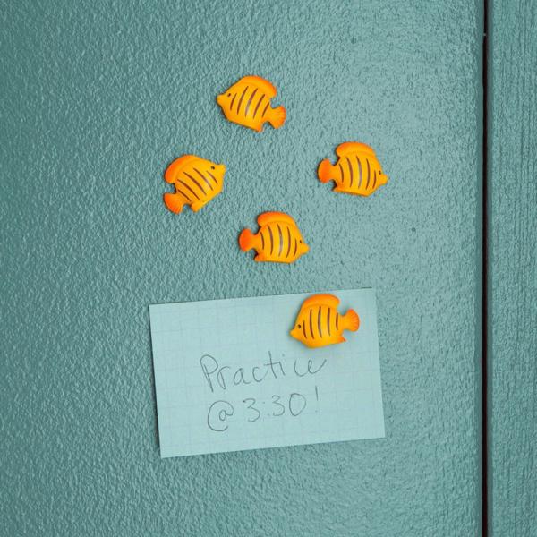 KIKKERLAND ( キッカーランド ) Fish Magnets KMG98 フィッシュマグネ...