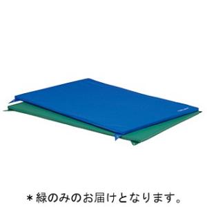 法人限定 トーエイライト 鉄棒 マット 鉄棒用下敷マットSE80 緑 T-1940G  送料ランク(...