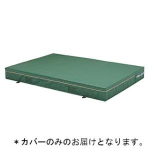 トーエイライト エバーマット (カバーのみ)屋内外兼用エバーマット（防水エステル帆布） 200×300×50cm G-1543A 特殊送料(ランク：39) (TOL) (Q41CD)｜fieldboss