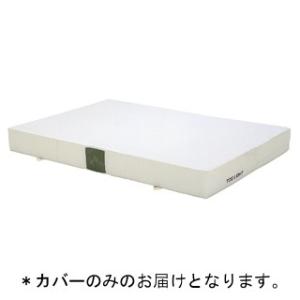トーエイライト エバーマット エバーマット ノンスリップ 1.5×2×0.2 G-2020A 特殊送料