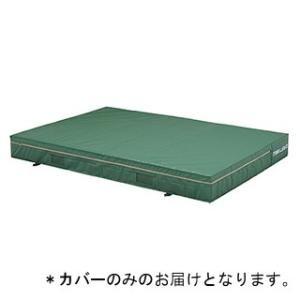 トーエイライト エバーマット 屋内外兼用エバーマット 150×200×20cm G-1214A 特殊送料