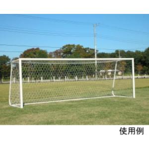 一般用サッカ-ゴ-ルネット 六角目 白 S-3...の詳細画像1