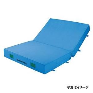 エバニュー EVERNEW 室内 屋内カラーエバーマット二ツ折すべり止付 200×300×20 EG...