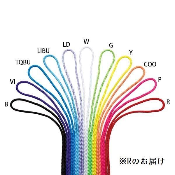 M280F-R カラーナイロンロープM-280 SASAKI ロープ 紐 (SAK) (Q41CD)