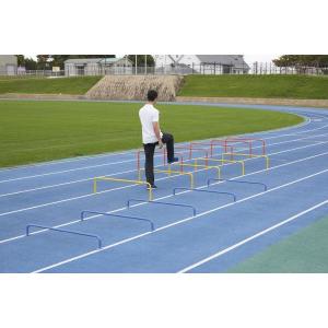ハードル 陸上競技 Dan 体育用品 レーンハードル H150 D 190 D 190 特殊送料 ランク K Dan Qca04 H150 フィールドボス
