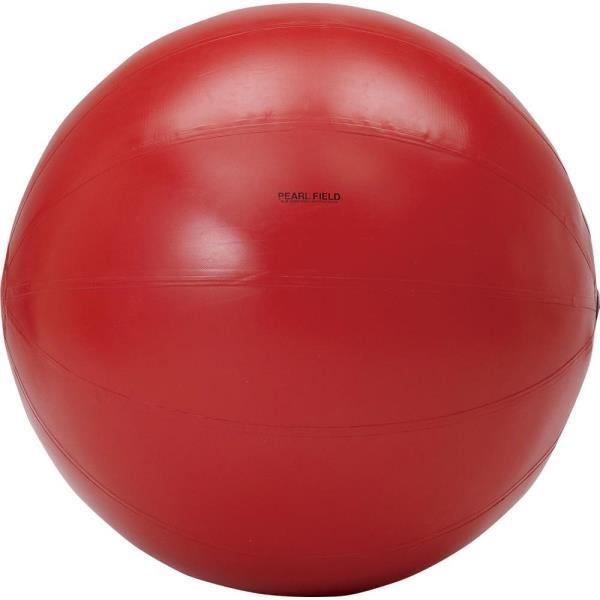 大玉 赤玉 大玉転がし 運動会 大玉 大玉直径100 レッド D-7500R (Q41CD)