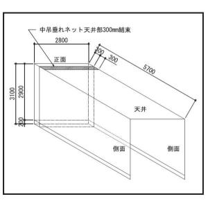 法人限定ケージ ゴルフ ゴルフネット ゴルフ練...の詳細画像1