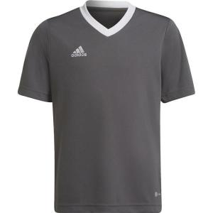 サッカーTシャツ キッズ 半袖 キッズ トップス キッズ ENT22 JSY Y チームGRYフォー (ADS) (Q41CD)｜fieldboss