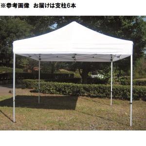 テント 大型テント 学校 EKA107-90 ク...の商品画像