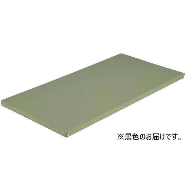 柔道用畳 たたみ 柔道 EKR062-10 全柔連公認畳 関東間 黒  送料ランク:(G) (ENW...