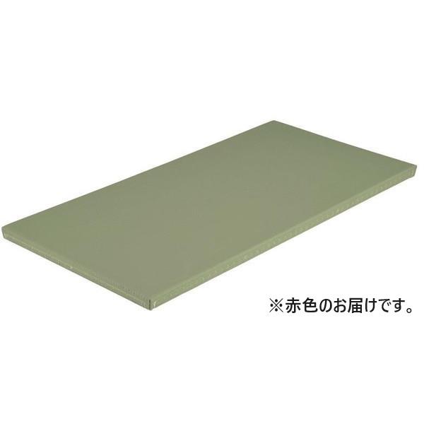 柔道用畳 たたみ 柔道 EKR062-100 全柔連公認畳 関東間 赤  送料ランク:(G) (EN...
