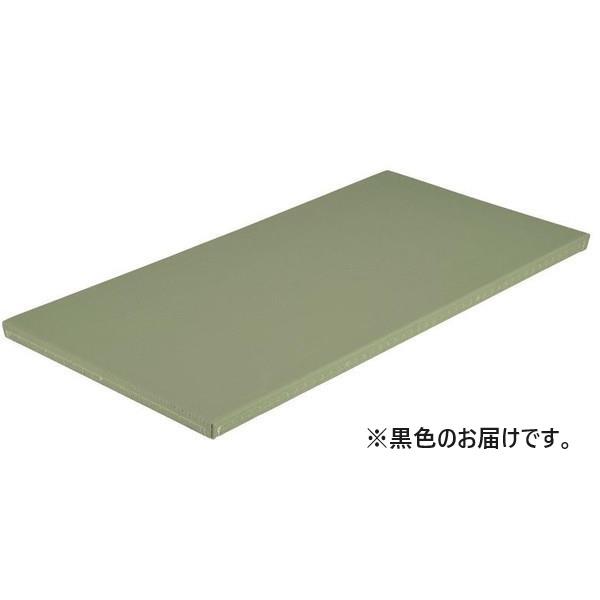 柔道用畳 たたみ 柔道 EKR063-10 全柔連公認畳 関西間 黒  送料ランク:(G) (ENW...