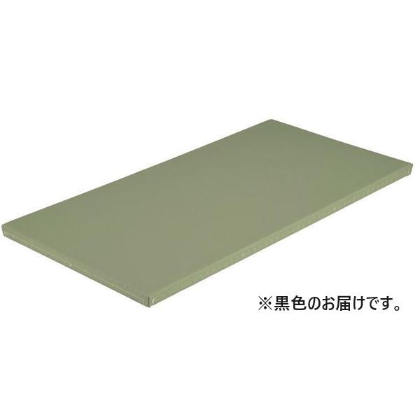 柔道用畳 たたみ 柔道 EKR065-10 全柔連公認畳 関東間 滑止付 黒  送料ランク:(G) ...