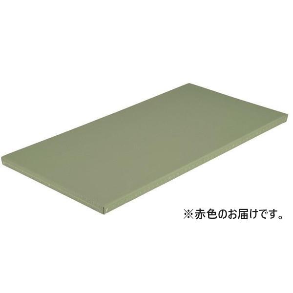 柔道用畳 たたみ 柔道 EKR066-100 全柔連公認畳 関西間 滑止付 赤  送料ランク:(G)...
