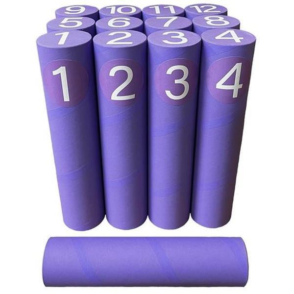 トスティック セット レクリエーション レク TOS-SX2 トスティック・ライト2  (SNL)