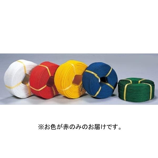 ロープ ラインロープ グラウンド用品 F3172R ラインロープ 赤  送料ランク:(B) (NKJ...