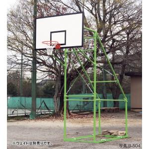 ゴール バスケットゴール バスケ B-504 パイプ製バスケットゴール 一般用 定置式 送料ランク:(別) (AKB) (Q41CD)