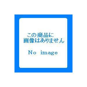 ＢＫ２０Ｈ用ボルト (JS117240/BK20HBLT) (Q41CD)