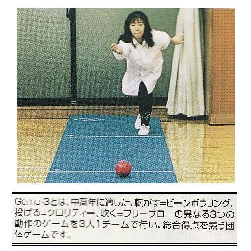 ビーンボウリング専用レーン(JS15064/BN-3) (Q41CD)