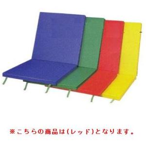 D4641R ライトマットDX D-4641R  送料ランク(お見積もり) (DAN) (Q41CD...