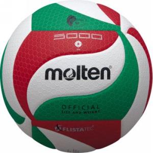 フリスタテック軽量バレーボール (JS78017/V4M5000-L) (Q41CD)