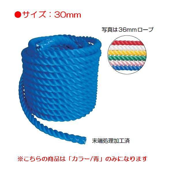カラー綱引ロープ30mm青 JS83173/EKA421分類：運動会 Q41CD 送料ランク(B) ...