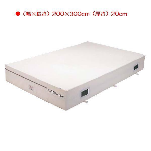 スポーツ 体操 保護 抗菌屋内エバーマット枚マット本体 EGD222  送料ランク(R) (ENW)...