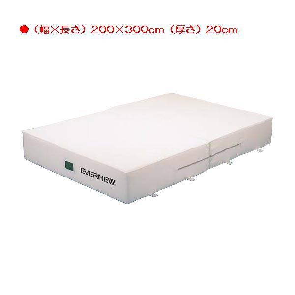 スポーツ 体操 保護 抗菌屋内エバーマット二ツ折枚マット本体 EGD262  送料ランク(R) (E...