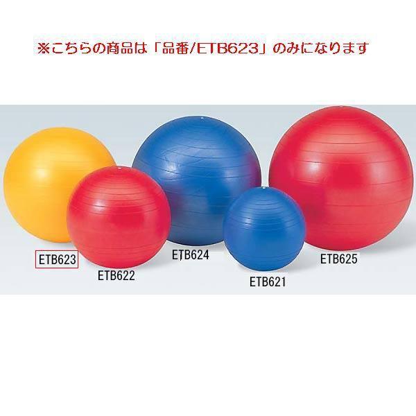 ジムボール55 JS84689/ETB623分類：トレーニング用品 フィットネス (Q41CD)