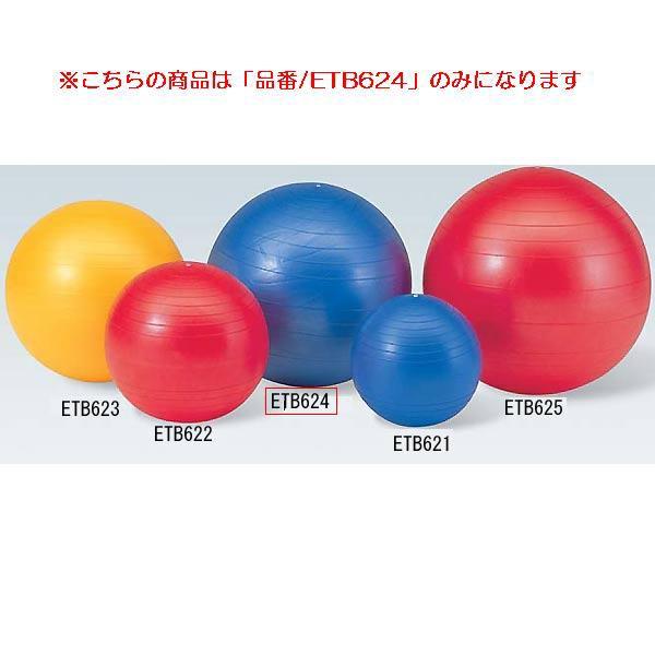 ジムボール65 JS84690/ETB624分類：トレーニング用品 フィットネス (Q41CD)