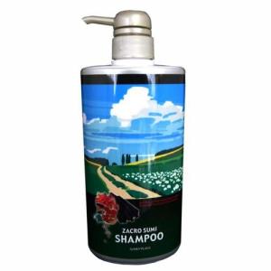 サラメンテ エテルノシャンプー 1000ml リフィル ボリュームシャンプー