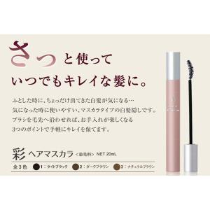 アクアーリオ 520ml ビーワン 環境保全研究所 無添加天然化粧水