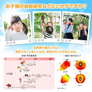 【mybest選出★4.8超】【国内検品済】糖...の詳細画像4