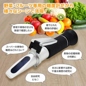 【mybest選出★4.8超】【国内検品済】糖...の詳細画像5