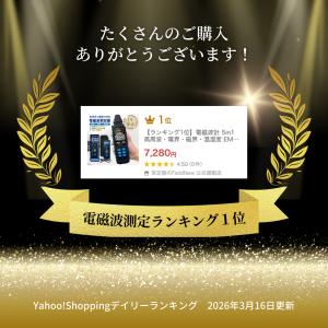 【ランキング1位】電磁波計 5in1 高周波・...の詳細画像1