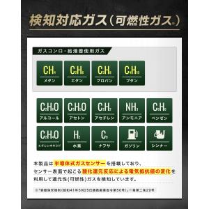ガス漏れ検知器 Pro【見えないガスを数値表示...の詳細画像4
