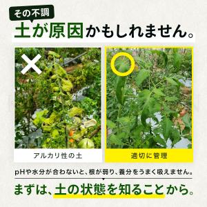 【ランキング1位】【国内ブランド】5 in 1...の詳細画像3