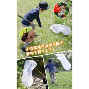 【ランキング1位】【★4.7超】虫取り網 子ど...の詳細画像2