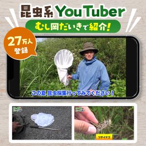 【むし岡だいき紹介】虫取り網 直径30cm/網...の詳細画像1